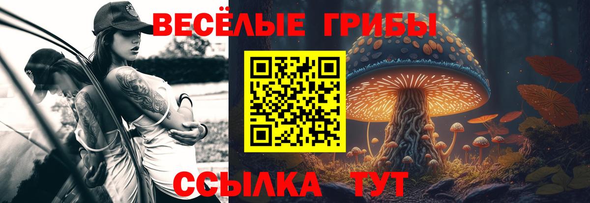 Лениногорск  Галлюциногенные грибы Cubensis  Вход с VPN 